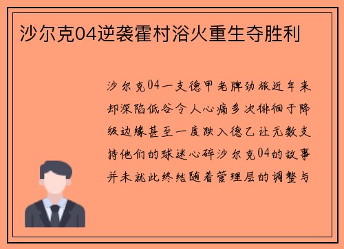 沙尔克04逆袭霍村浴火重生夺胜利