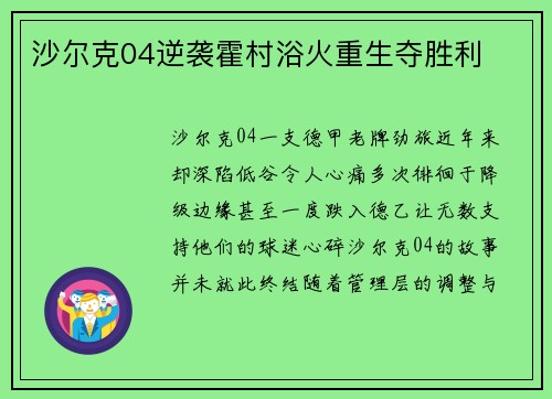 沙尔克04逆袭霍村浴火重生夺胜利